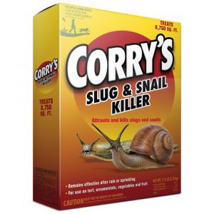 Corry's Slug & Snail