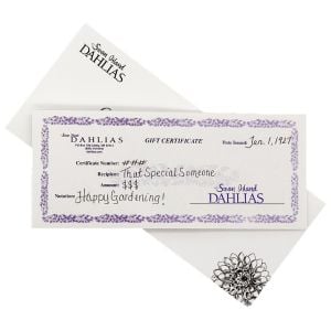 Gift Certificate