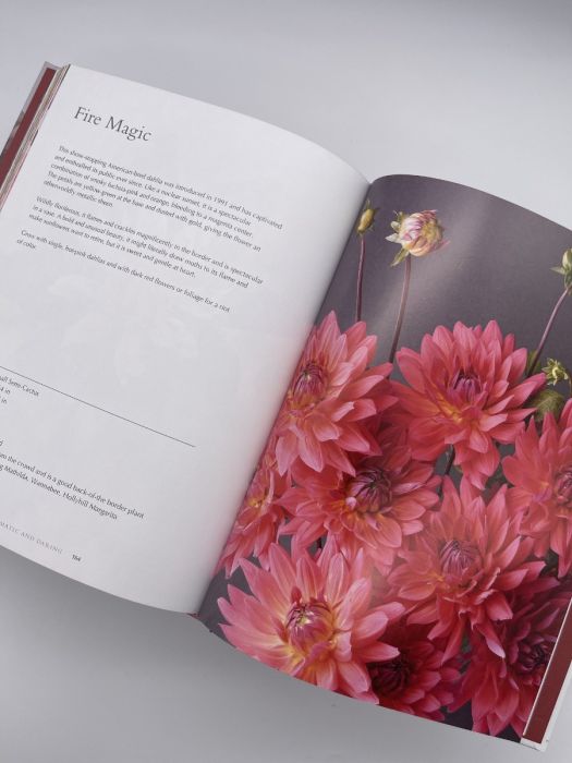 Dahlias by Naomi Slade | Swan Dahlias