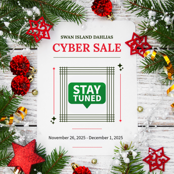 2025 - Cyber Sale - Stay Tuned for Details