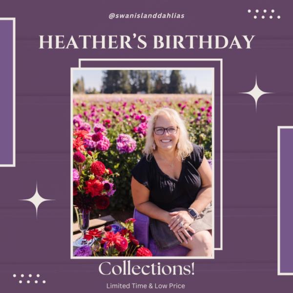 2024 - Heather's Gone CRAZY for her Birthday!