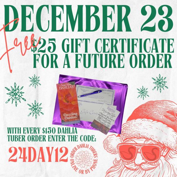 2024 12 Days of Deals - Day 12