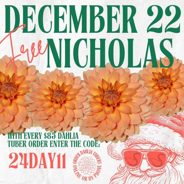 2024 12 Days of Deals - Day 11