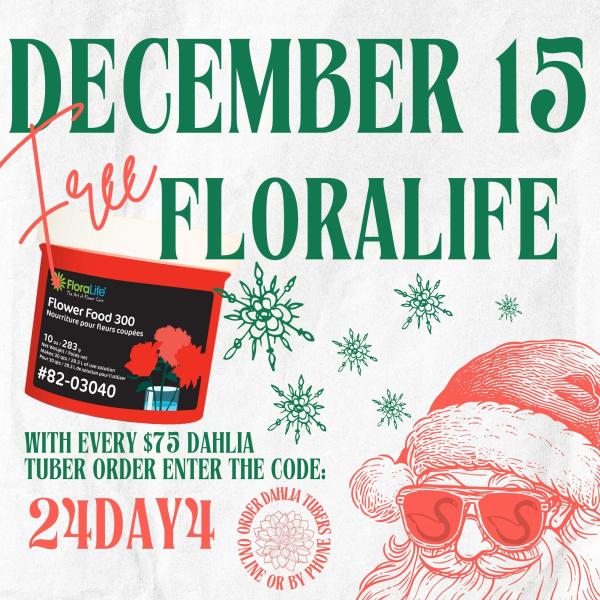 2024 12 Days of Deals - Day 4