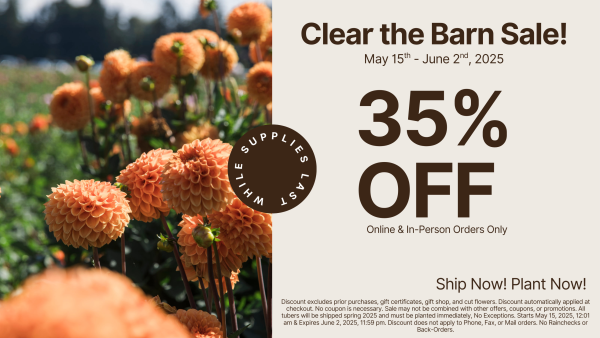 2025 - Clear the Barn Sale