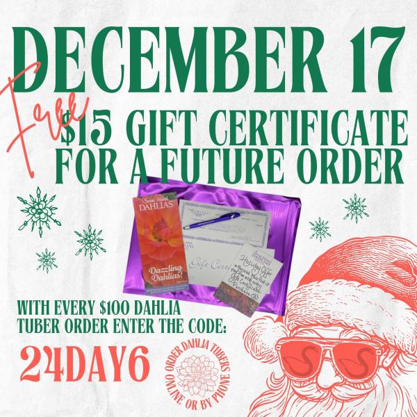 2024 12 Days of Deals - Day 6