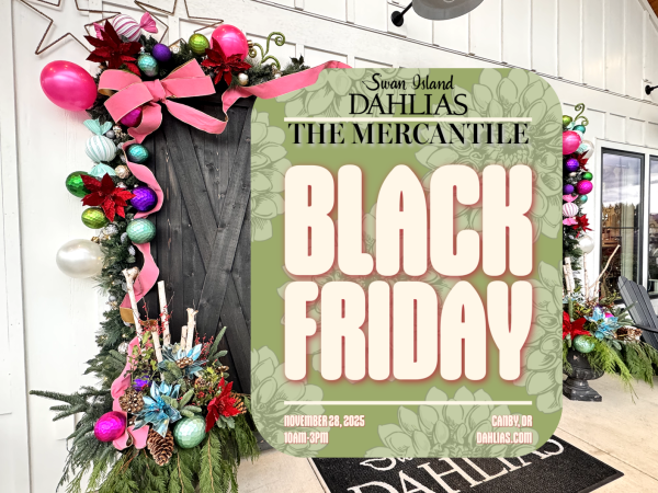 2025 - THE MERCANTILE - BLACK FRIDAY