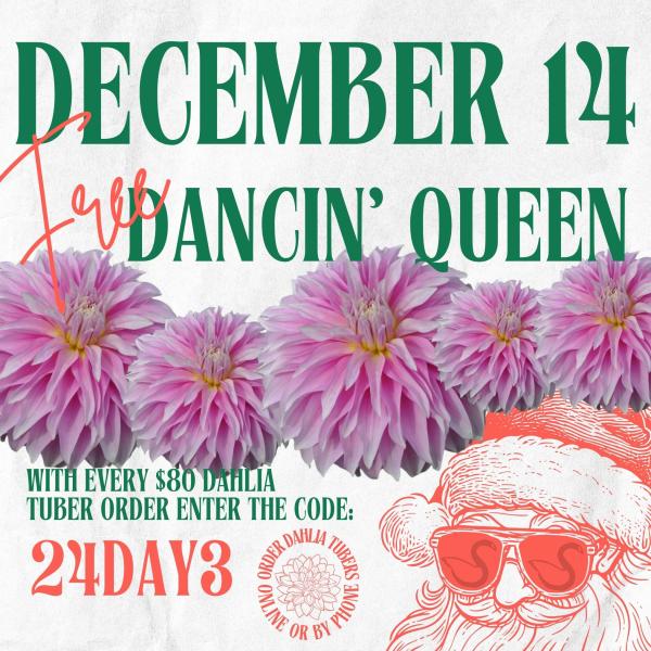 2024 12 Days of Deals - Day 3