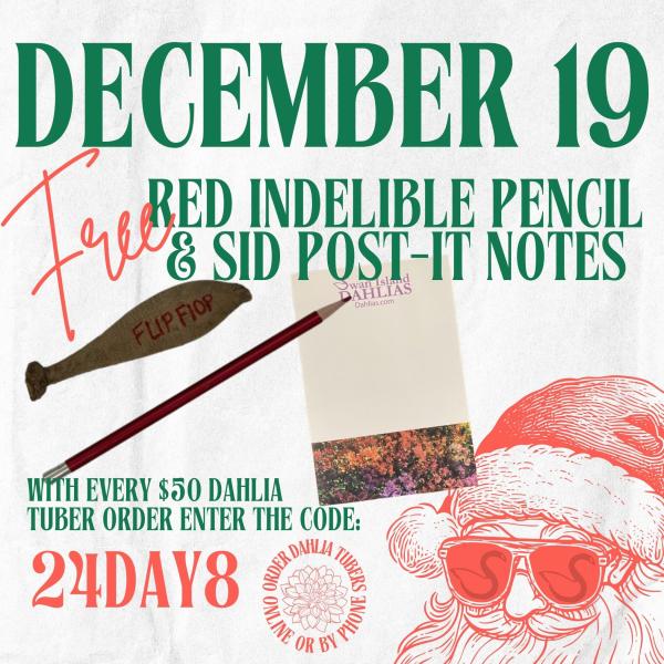 2024 12 Days of Deals - Day 8