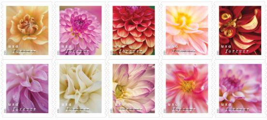2024 Denise Ippolito - Dahlia USPS Forever Stamps 2025