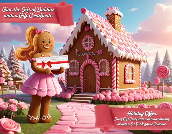 2025 - Holiday Gift Certificates