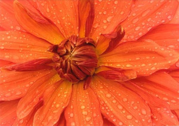2022 Photo Contest Winners - Jan K.
