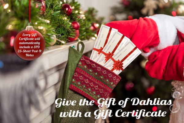 2023 - Gift Certificates