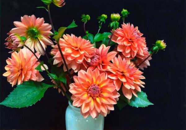2022 Photo Contest Winners - Margy L.