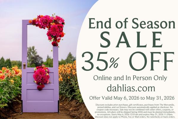 End of Season Sale - 2026