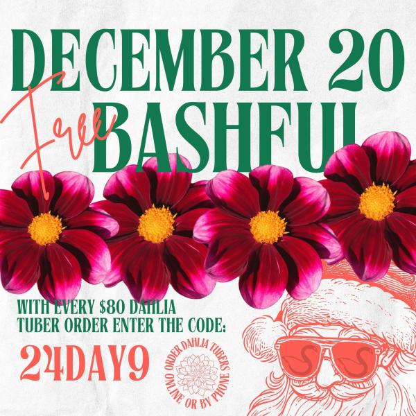 2024 12 Days of Deals - Day 9
