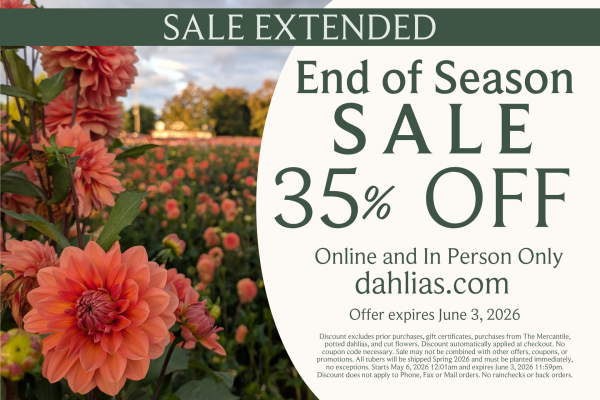 Spring Sale Extended