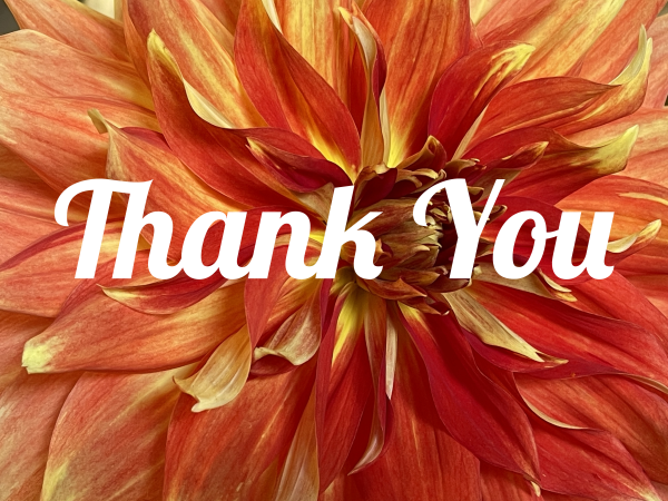 2022 Dahlia Festival - Thank you!
