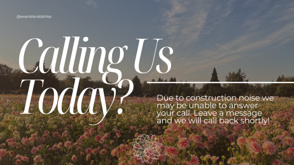 2025 - Due to the construction today, if you are calling today, please leave a message!