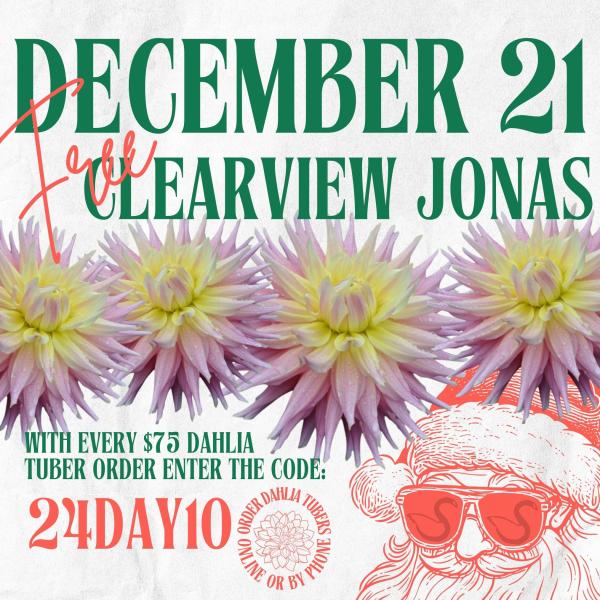 2024 12 Days of Deals - Day 10