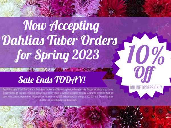 10% OFF DAHLIA TUBER ORDERS - LAST DAY FOR 10% OFF!