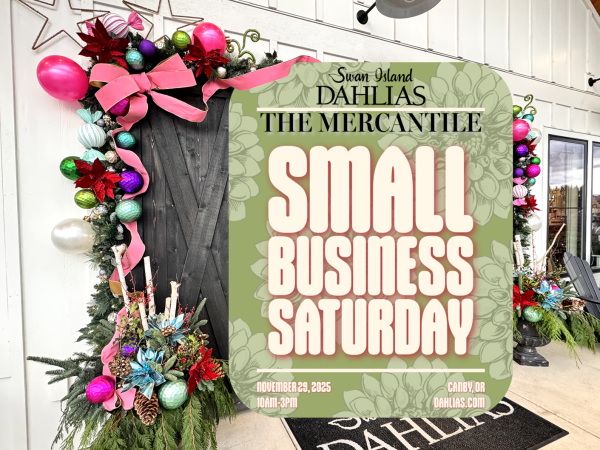 2025 - MERCANTILE - SMALL BUSINESS SATURDAY