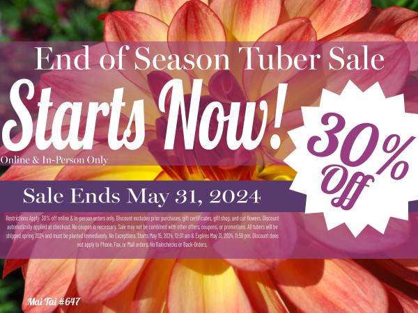 2024 30% off End of Season Sale - Starts Now!
