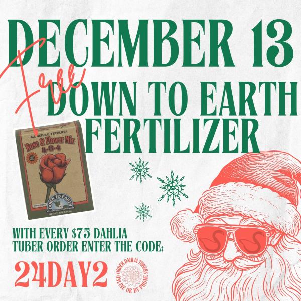 2024 12 Days of Deals - Day 2