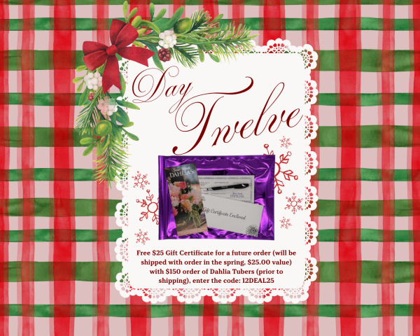 2025 - 12 Days of Deals - Day Twelve