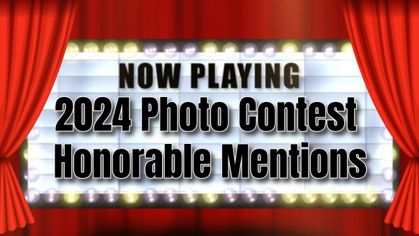 2024 Photo Contest Winners - Honorable Mentions #5