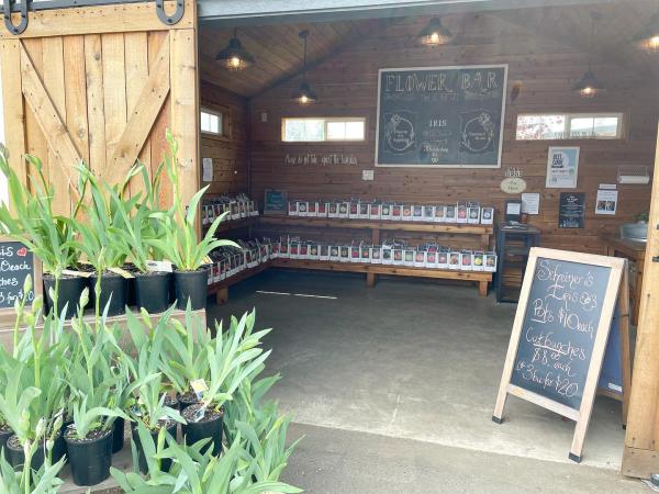 We are Open for Local Walk-in Dahlia Tuber Sales!