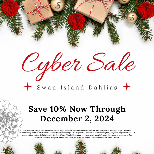 2024 - Cyber Sale
