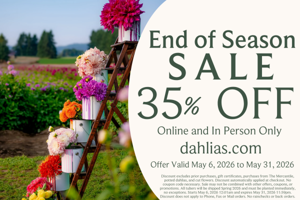 End of Season Sale - 2026