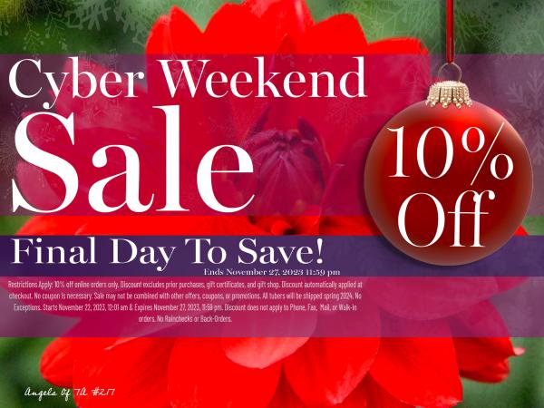 2023 - Cyber Sale - 10% off - Final Day to Save