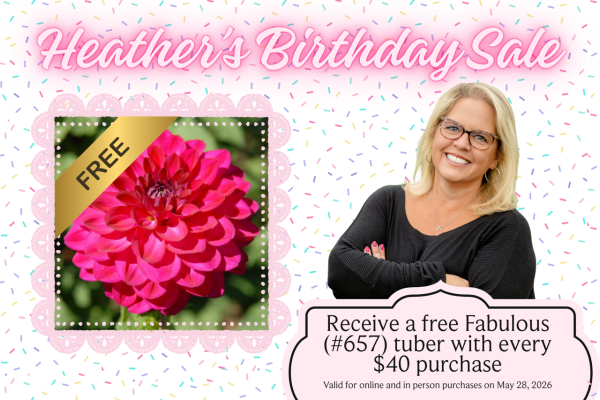 Heather's Fabulous Birthday