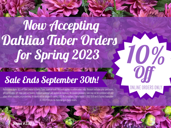 Dahlia Festival 10% off sale!