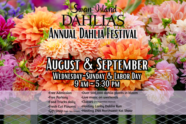 2025 - Annual Dahlia Festival - More Blooms, More Fun, More Reasons to Visit!