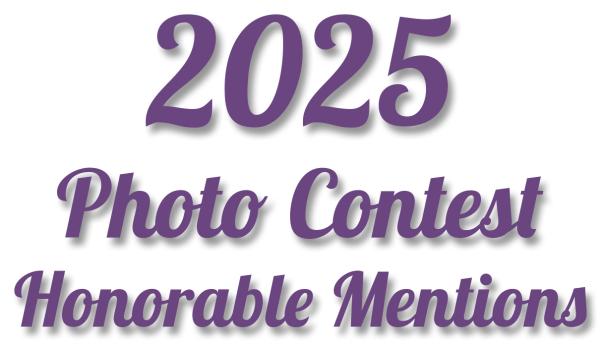 2025 Photo Contest Winners - Honorable Mentions #1
