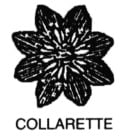 Line drawing of a Collarette Dahlia.
