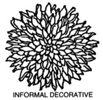 Line drawing of a informal decorative dahlia.