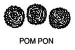 Line drawing of a Pom Pon Dahlia.