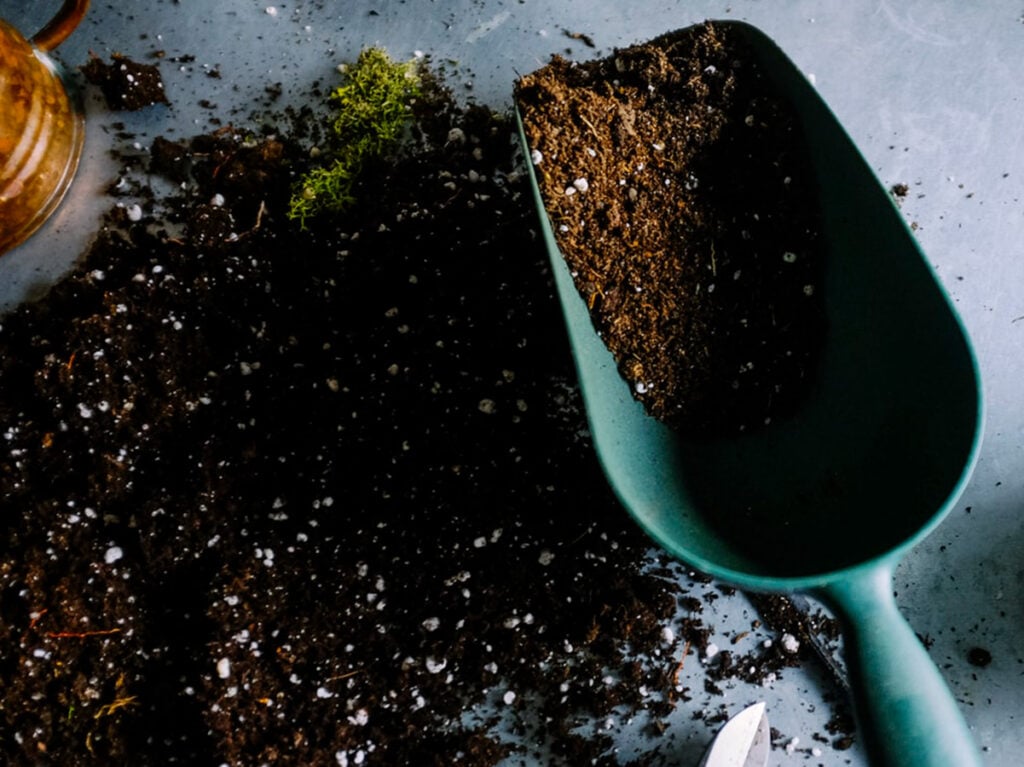 Soil in a shovel