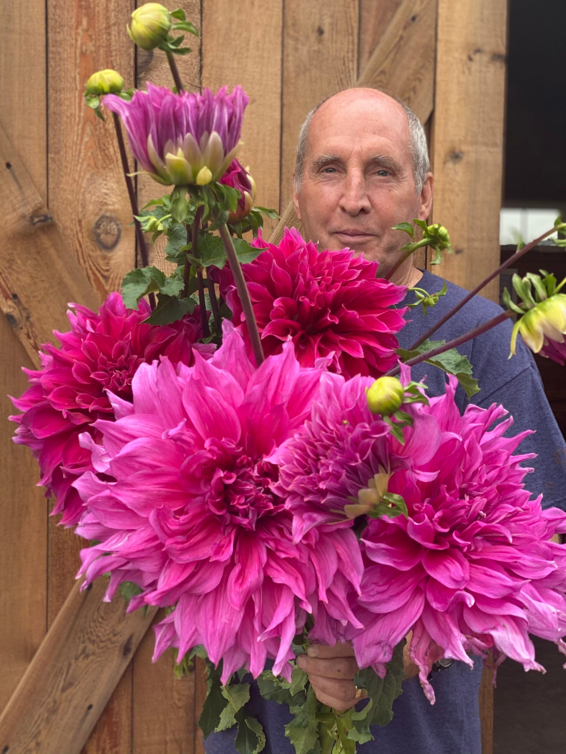 Special Event - Dahlia Care Talk