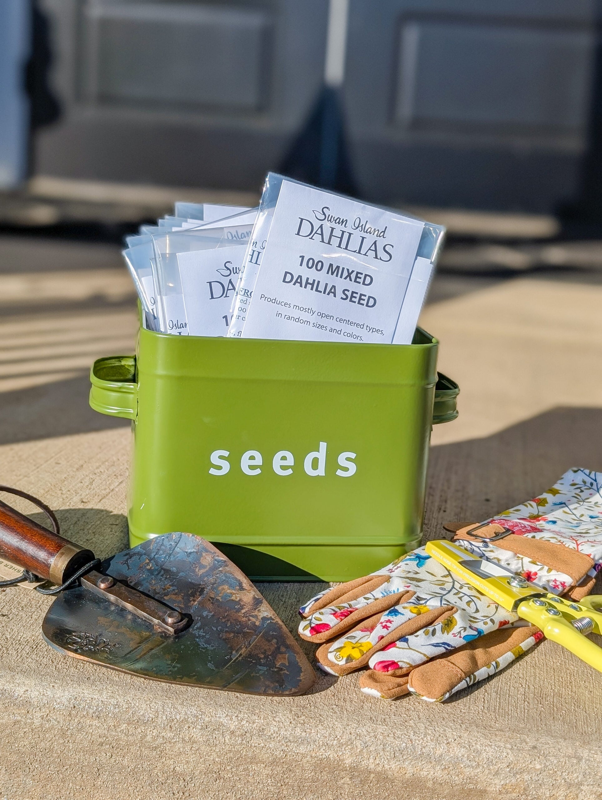 Seed Packets displayed in a Seed tin