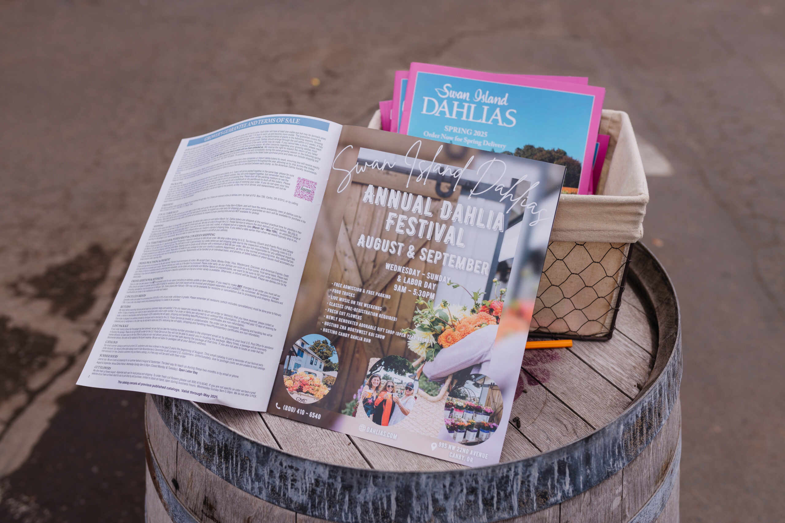An opened brochure for the Swan Island Dahlias Annual Dahlia Festival is displayed on a barrel. The brochure features event details and images of flowers. Other brochures are stacked nearby.