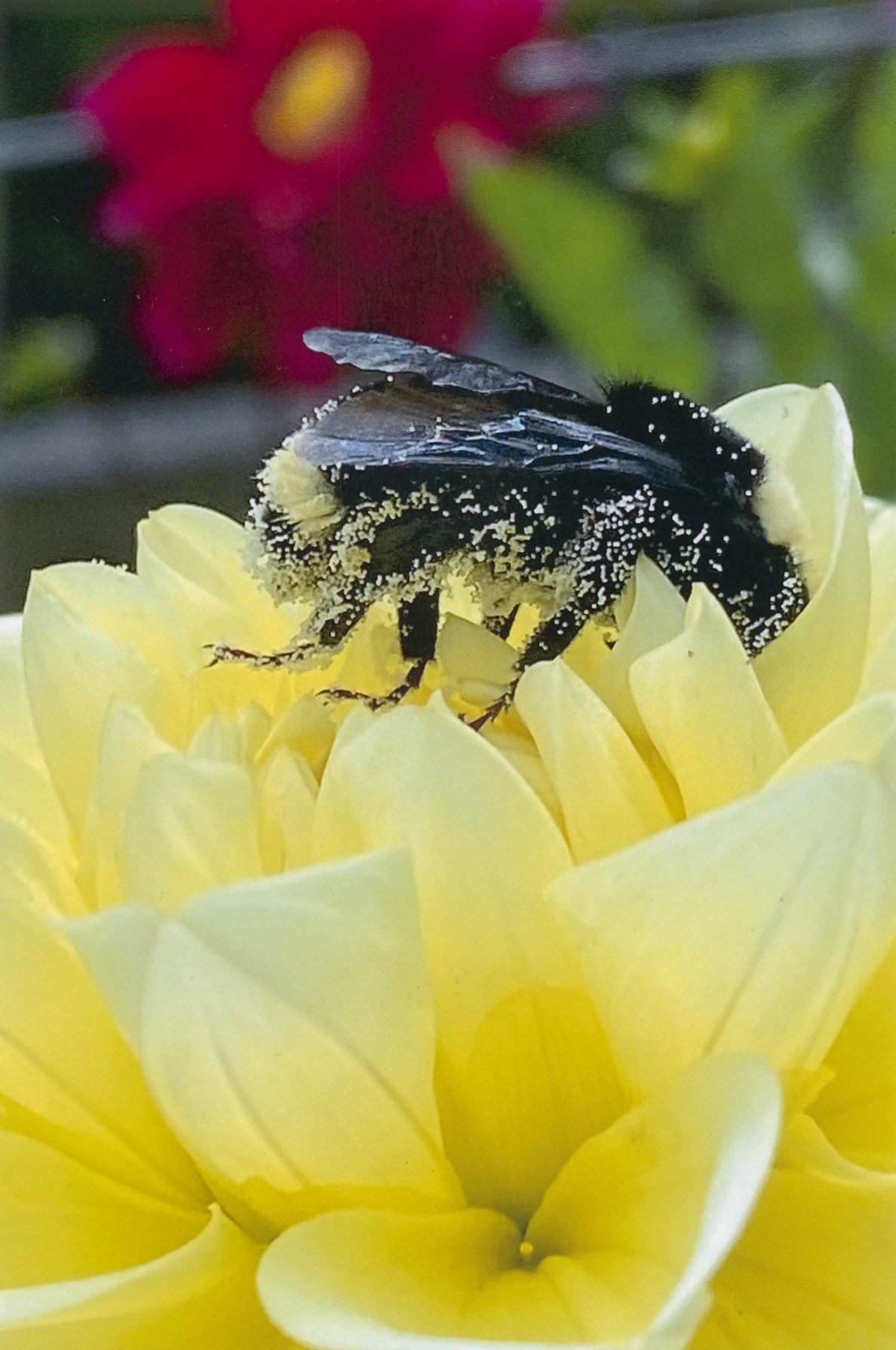 2025 - Photo Contest - Honorable Mention - Barb S.