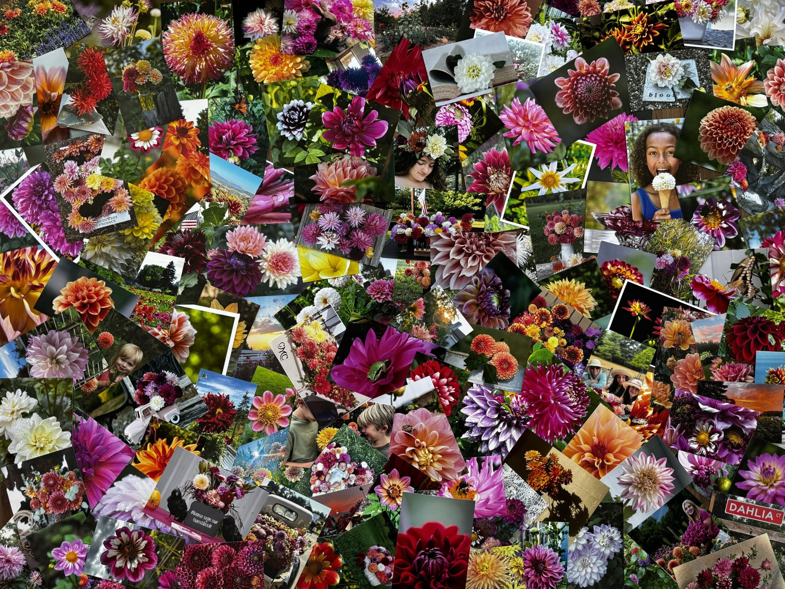 2025 PHOTO CONTEST WINNERS - COLLAGE